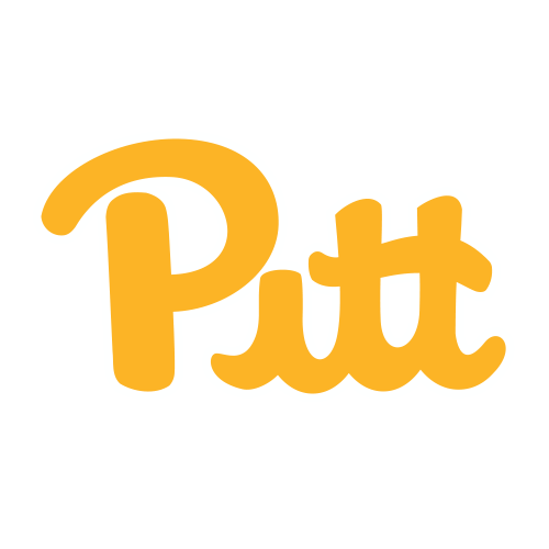 Pittsburgh Mascot