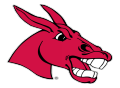 Central Missouri State Mules