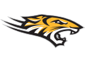 Towson Tigers